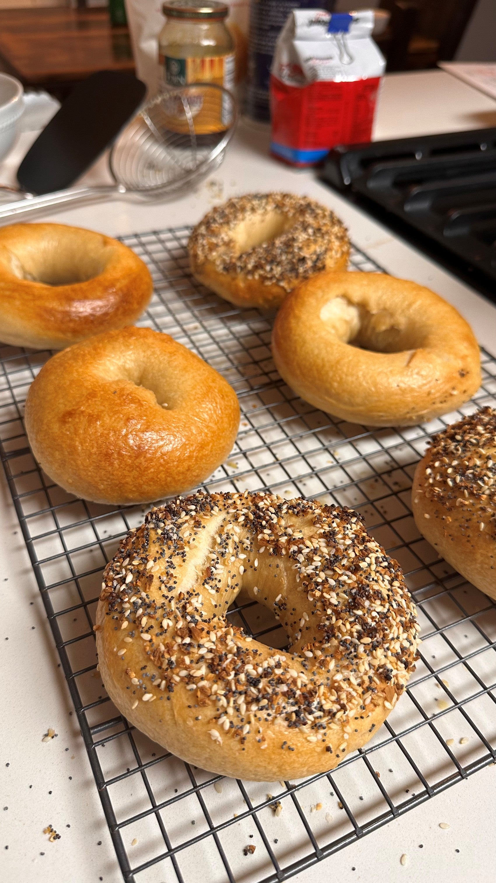 Plain Bagel